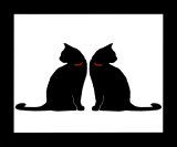 -two-black-cats.jpg